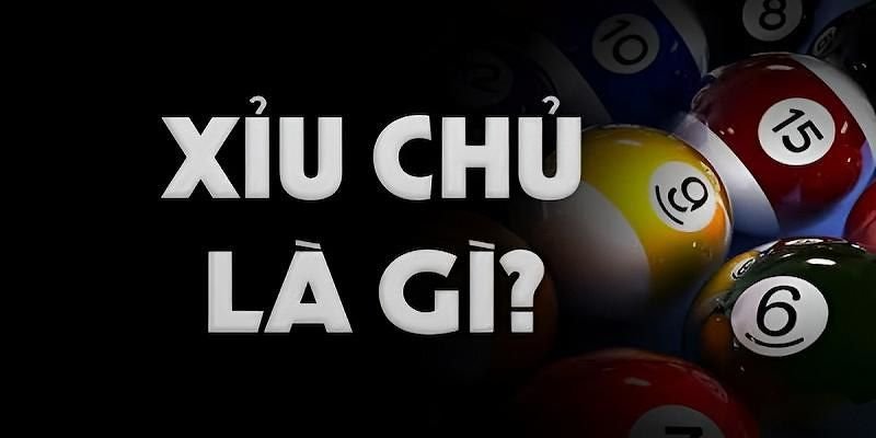 gioi thieu ve xiu chu la gi